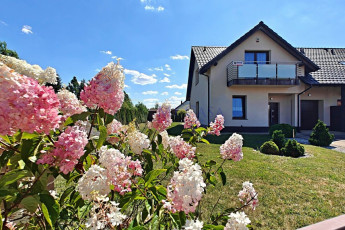 Dom Sprzedaż Brzezina